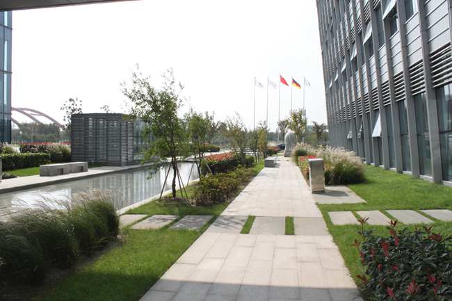 商務辦公樓景觀綠化工程